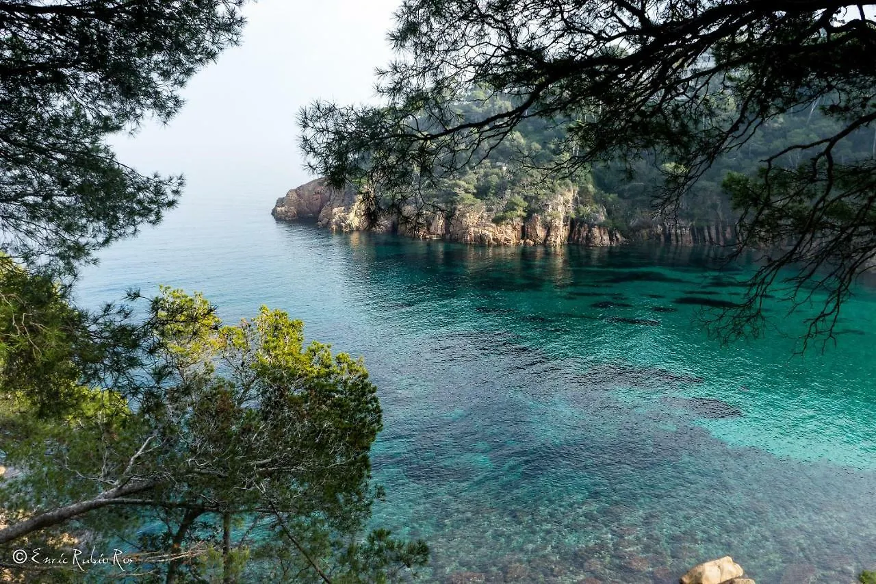 Perla Azul - Sa Riera/Begur Διαμέρισμα 0*, Begur